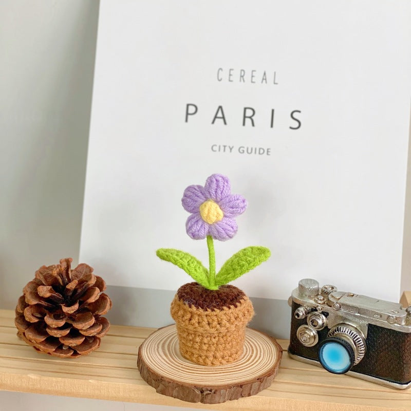Indoor succulent decoration for table